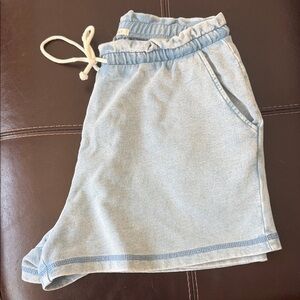 Z Supply Sky Blue Knit Shorts